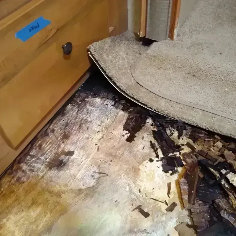 Wood Floor Water Damage in Jackson County, MO